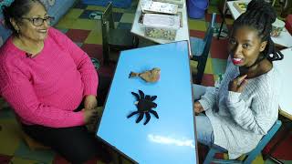 Visual Sequential games and activities to improve working memory, short-term and long - term memory.