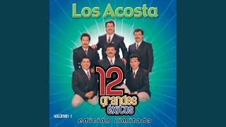 Video thumbnail of "Los Acosta - Me parece"