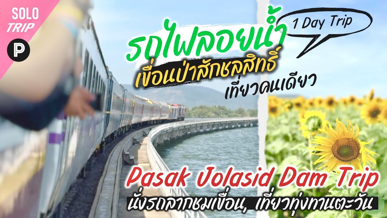 นั่งรถไฟลอยน้ำ🚶🏻เที่ยวคนเดียว EP#5 | 1 day trip : เที่ยวเขื่อนป่าสักชลสิทธิ์ 🏔️ ชมทุ่งดอกทานตะวัน 🌻
