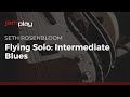 🎸 Seth Rosenbloom Guitar Lessons - Flying Solo: Intermediate Blues - TrueFire + JamPlay