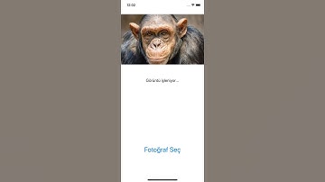 iOS CoreML ve Vision ile Image Recognition