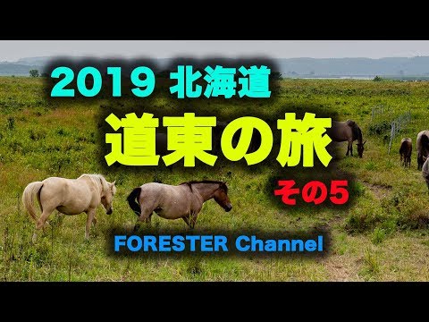 北海道2019　フェリー・キャンプ　道東の旅　〜　その５（小清水原生花園・女満別方面）＜4K＞
