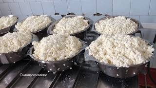 Производство адыгейского сыра Производство адыгейского сыра