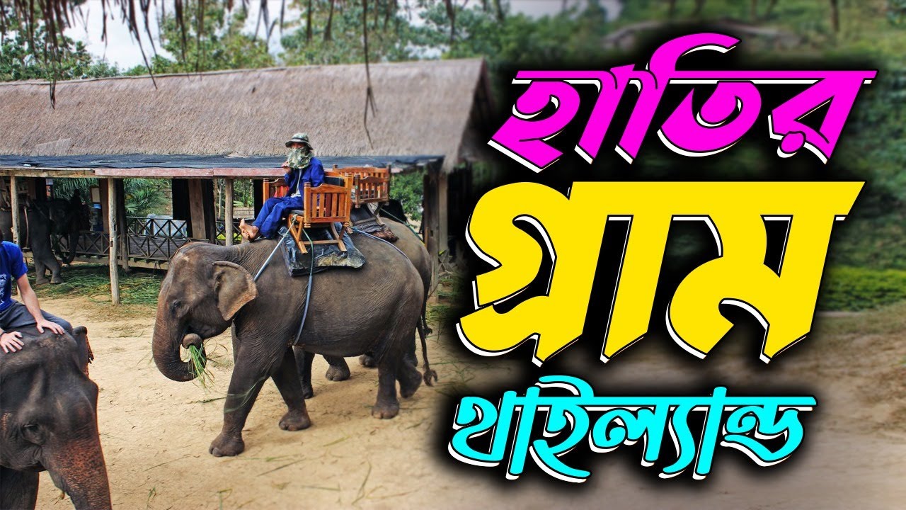 হাতির গ্রাম | থাইল্যান্ড | Elephant Village Pattaya Thailand