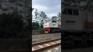 Kereta Kutojaya Selatan Dengan Lokomotif CC 203 95 03 PWT