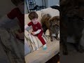 My 3 “Sons” Won’t Stop Begging for Snacks! 🐶🍪 #funnymoments