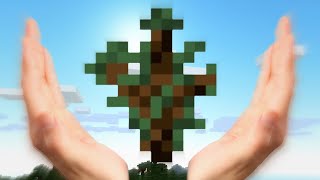 Finding Spruce Wood in Minecraft