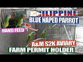 BLUE NAPED PARROT | AVIARY VISIT | SIR MELCHOR | FARM PERMIT