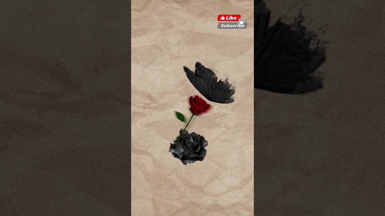 ادم که غمگین است دنیا برایش زندان است #احمد_ظاهر #قدیمی #زندانی #music #ahmad_zahir #zenden 