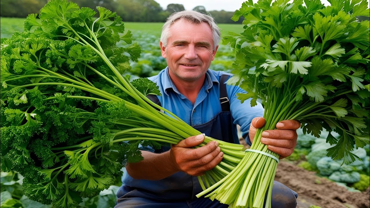 Kako sam ubrzao rast PERŠINA! Pogledajte trik