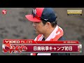 【カープ】日南秋季キャンプ初日、ドミニカ3選手がファンの前で初実戦。黒田博樹さんや三好コーチの姿も（2023年11月6日）