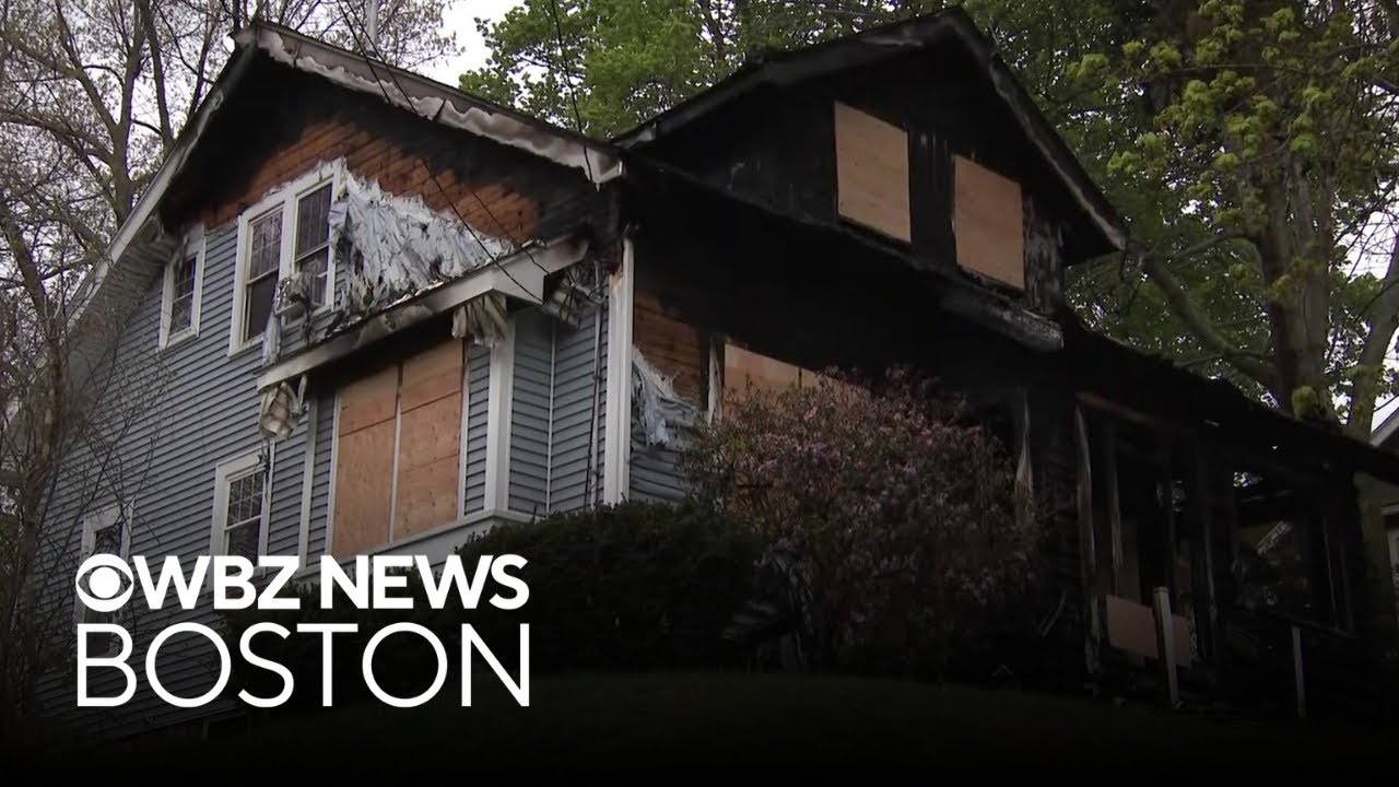Several animals dead, woman injured after late night house fire in ...