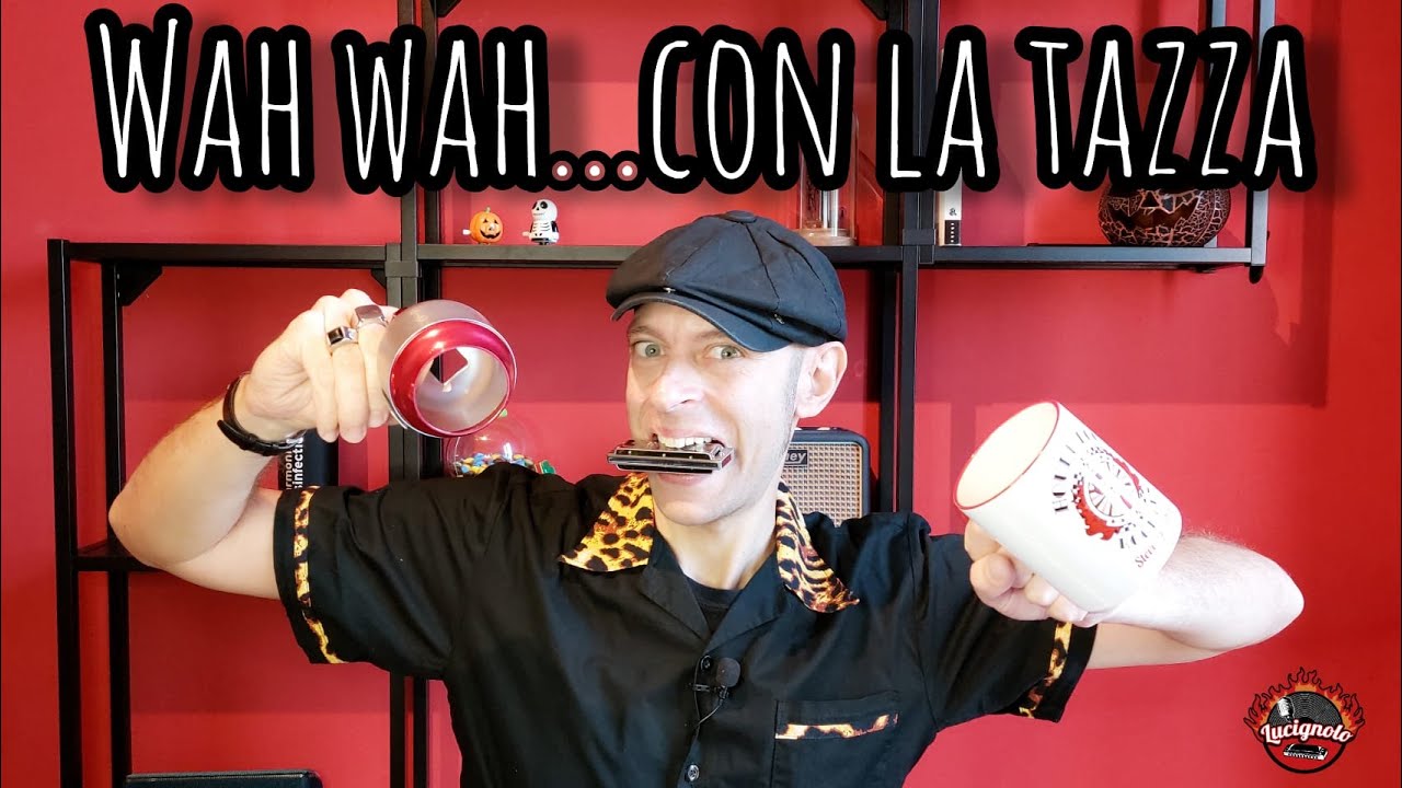 Effetto WAH WAH | I diversi modi per ottenerlo | Armonica Blues | Tutorial