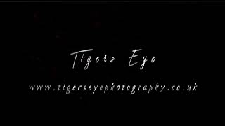 Kenneth K Force Richardson's fight reel. Welterweight & Middleweight British Chamption #mma