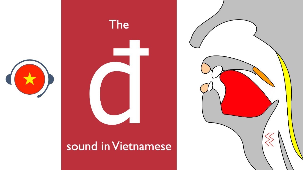 🇻🇳 Vietnamese : đ sound. Learn sound system in Vietnamese. Vietsound.