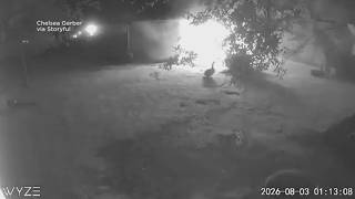 Honking hero: Goose alerts Fort Bend County family about fire at their barn