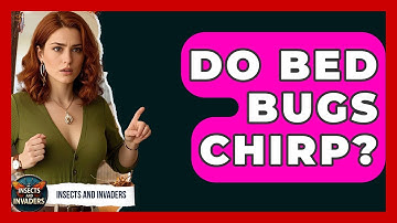 Do Bed Bugs Chirp? - Insects and Invaders