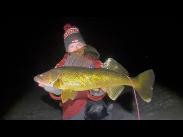 Trump Topwater Fishing Lure catches bass! 😆