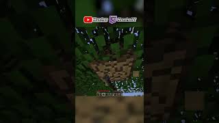 I HATE BIRCH TREES  #minecraft #minecraftgameplay #gaming