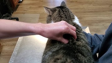 How to give a B12 injection