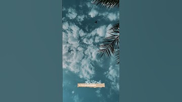 سورة لقمان (٨-٩) - الشيخ فيصل الفهيد