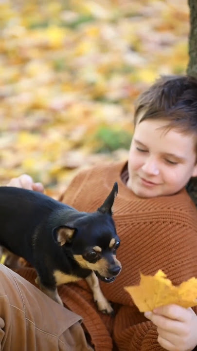 John 14:6 | #fallintoshorts - Bible Memory Verse