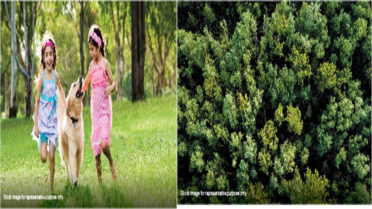 Godrej Woodland RERA PRM/KA/RERA/1250/304/PR/210208/003856