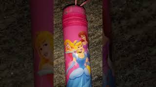 Beautiful Pencil Pouch Pouch