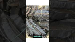 TOUT SUR LE 4 CÔTÉS
