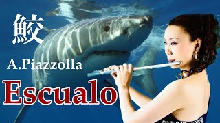 鮫 ピアソラ Escualo  A.Piazzolla MISAO FLUTE 波戸崎操 Guitar&shark