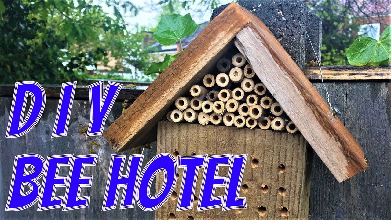 Bumble Bee Hotel - Wooden Insect Hotel - David Domoney