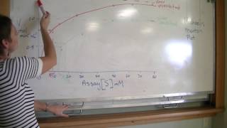 Enzyme kinetics calculations 2