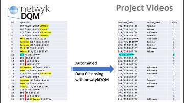 Project video: Automated Data Cleansing with netwykDQM