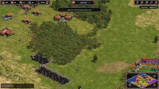 TsuyoFarmer's Adventure on Age of Empires Definitive Edition