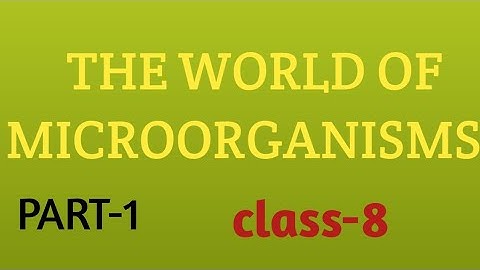 The world of microorganisms.#bio education #class 8# part -1