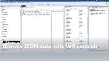 Browse JSON data with TMS FNC WX Pack controls