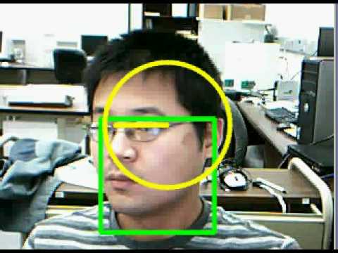 Real time head pose estimation