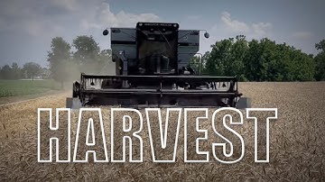 Ohio Wheat Harvest 2023. Drone Footage of Gleaner L3