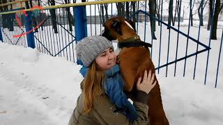 Приглашаем всех желающих на выгул собак.24/02/2019 Приглашаем всех желающих на выгул собак.24/02/2019