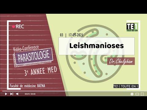 Video: Phlebotomus Perniciosus -sylkeen Vasta-ainevaste Kissoilla, Jotka Altistuvat Luonnollisesti Flebotomiinihiekkakärpäseille, Liittyy Positiivisesti Leishmania-tartuntaan