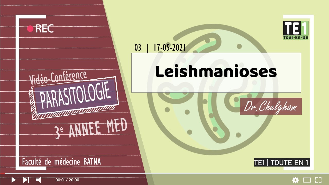 03 | Leishmanioses
