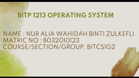 BITP 1213: OPERATING SYSTEM PROJECT (PROGRESS 1)