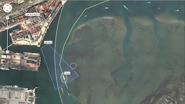 Port Multiagent target tracking