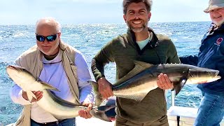 CATCHING MASSIVE BULL REDS AND COBIA IN STEINHATCHEE Net Worth