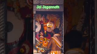 🪔🪔Divine mangala alati darshan from shree jagannath Swami puri23/05/26#puri#shorts#jagannath