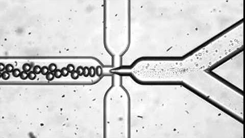 GigaGen Microfluidics
