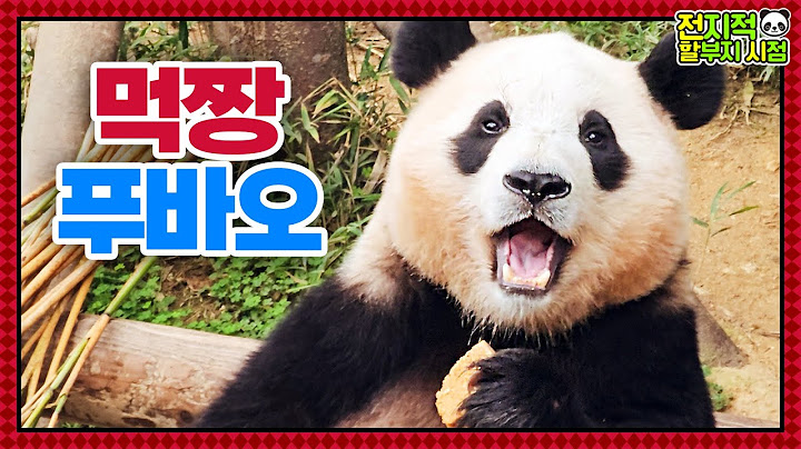 (SUB) Panda Fubao Spending Unforgettable Autumn🐼│Panda World
