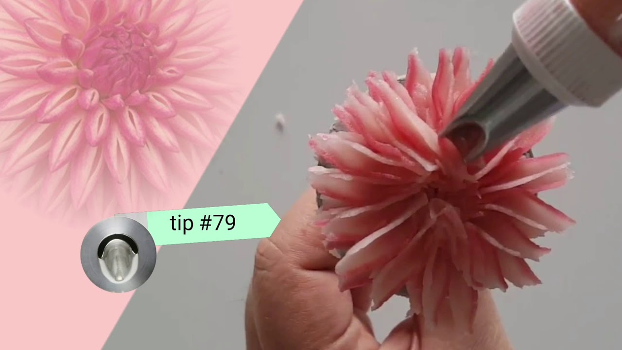 앙금플라워 다알리아 Dahlia flower piping technique YouTube