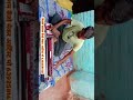#shivam_sargam_bulbul_tarang_banjo_maker #banjomusicBulbul Tarang Banjo