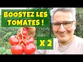 Ce petit truc tout bte qui pourrait bien doubler votre production de tomates  